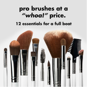 Professional Complete Set of 12 Brushes